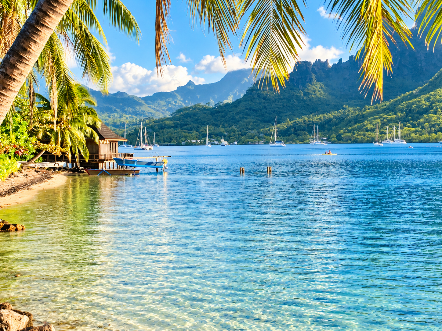 Lagon de Moorea bordé de palmiers et de montagnes